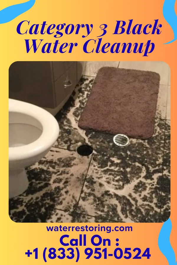 Category 3 Black Water Cleanup in Harrisonburg, VA