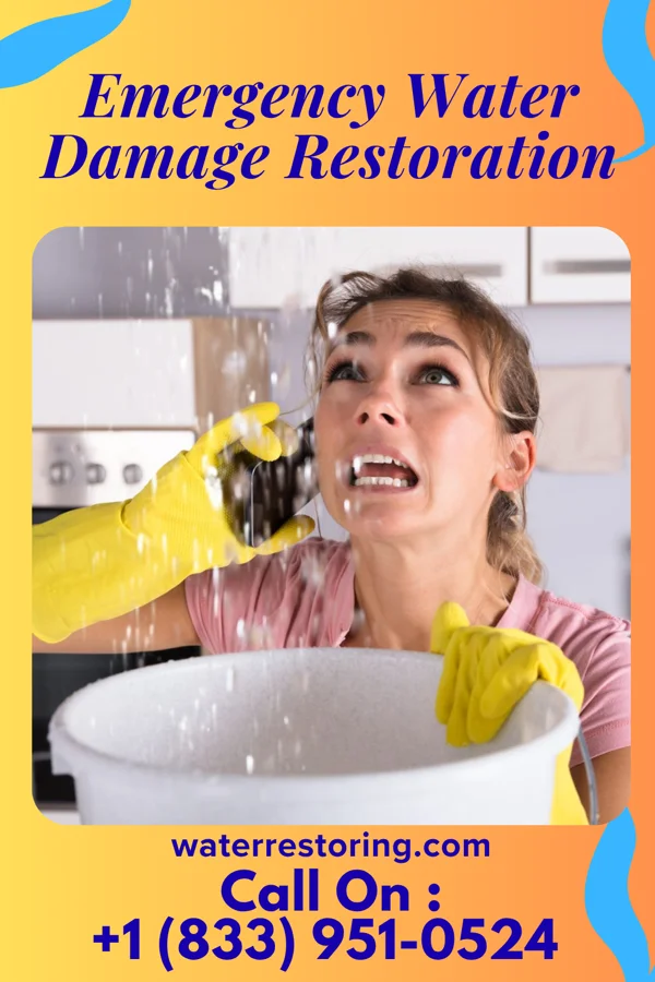 Emergency Water Damage Restoration in Harrisonburg, VA