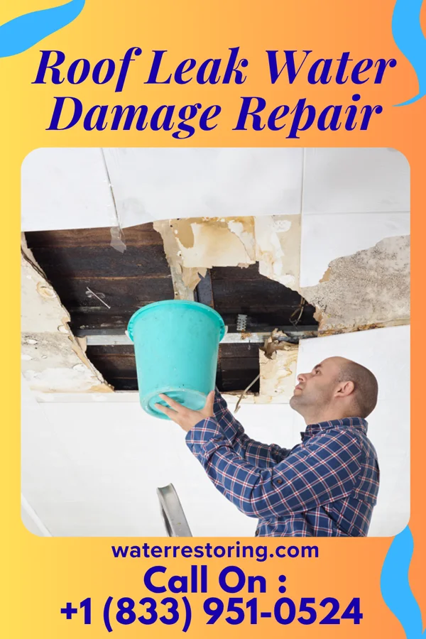 Roof Leak Water Damage Repair in Harrisonburg, VA