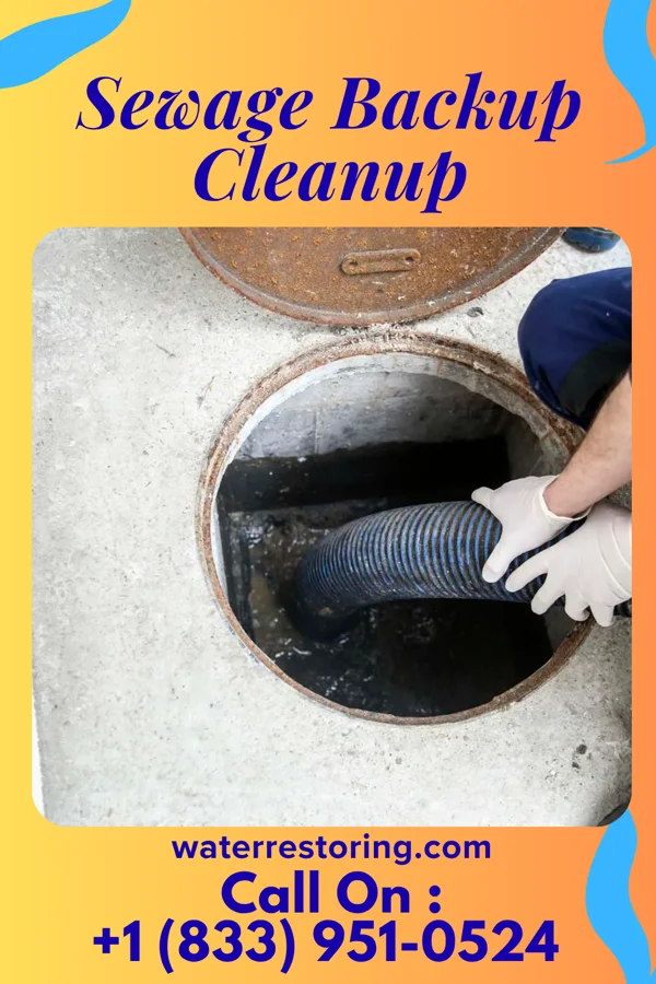 Sewage Backup Cleanup in Harrisonburg, VA