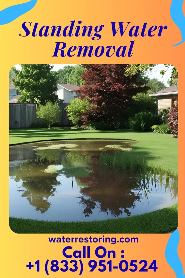 Standing Water Removal in Harrisonburg, VA
